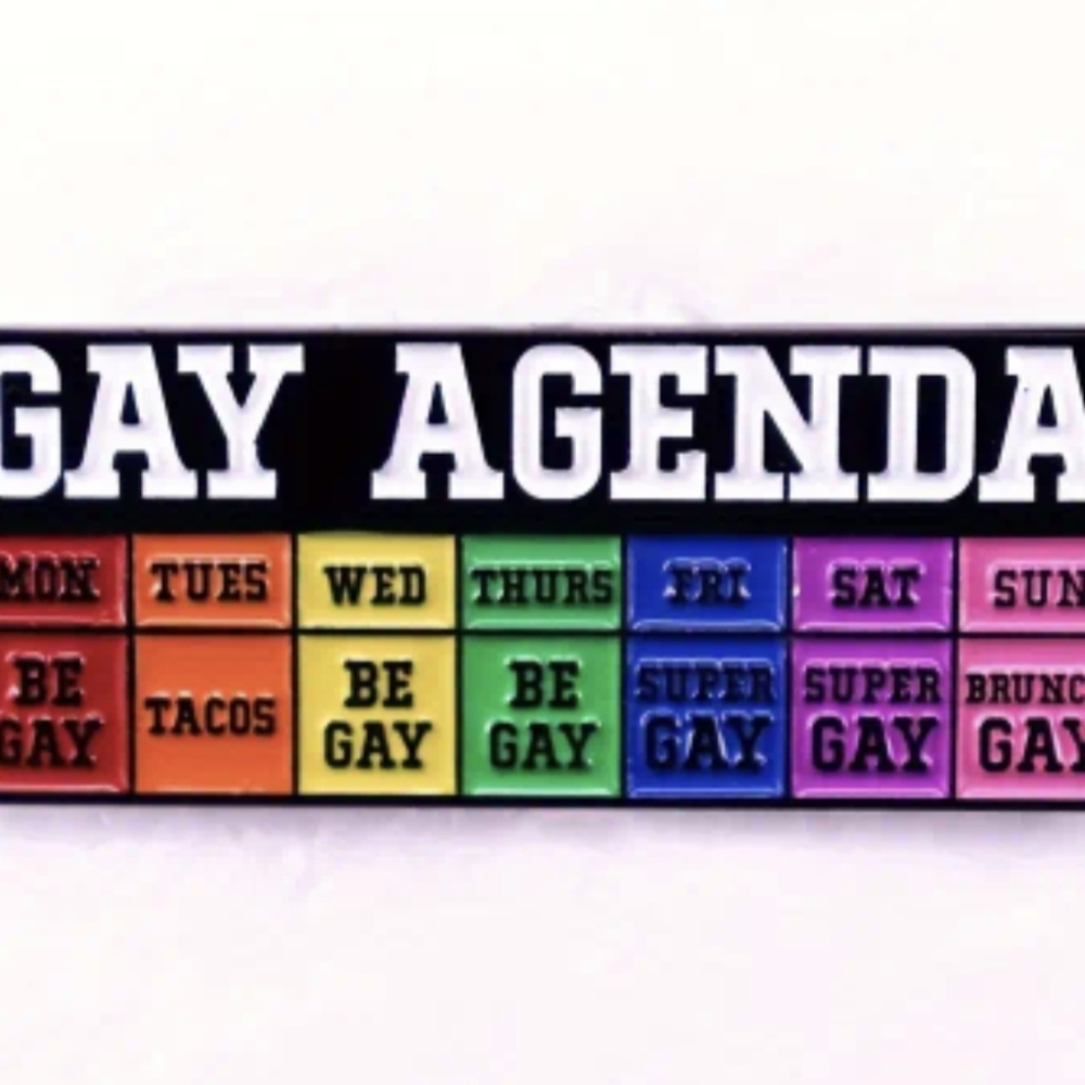 🌈 PIN- The Gay Agenda you've heard about....